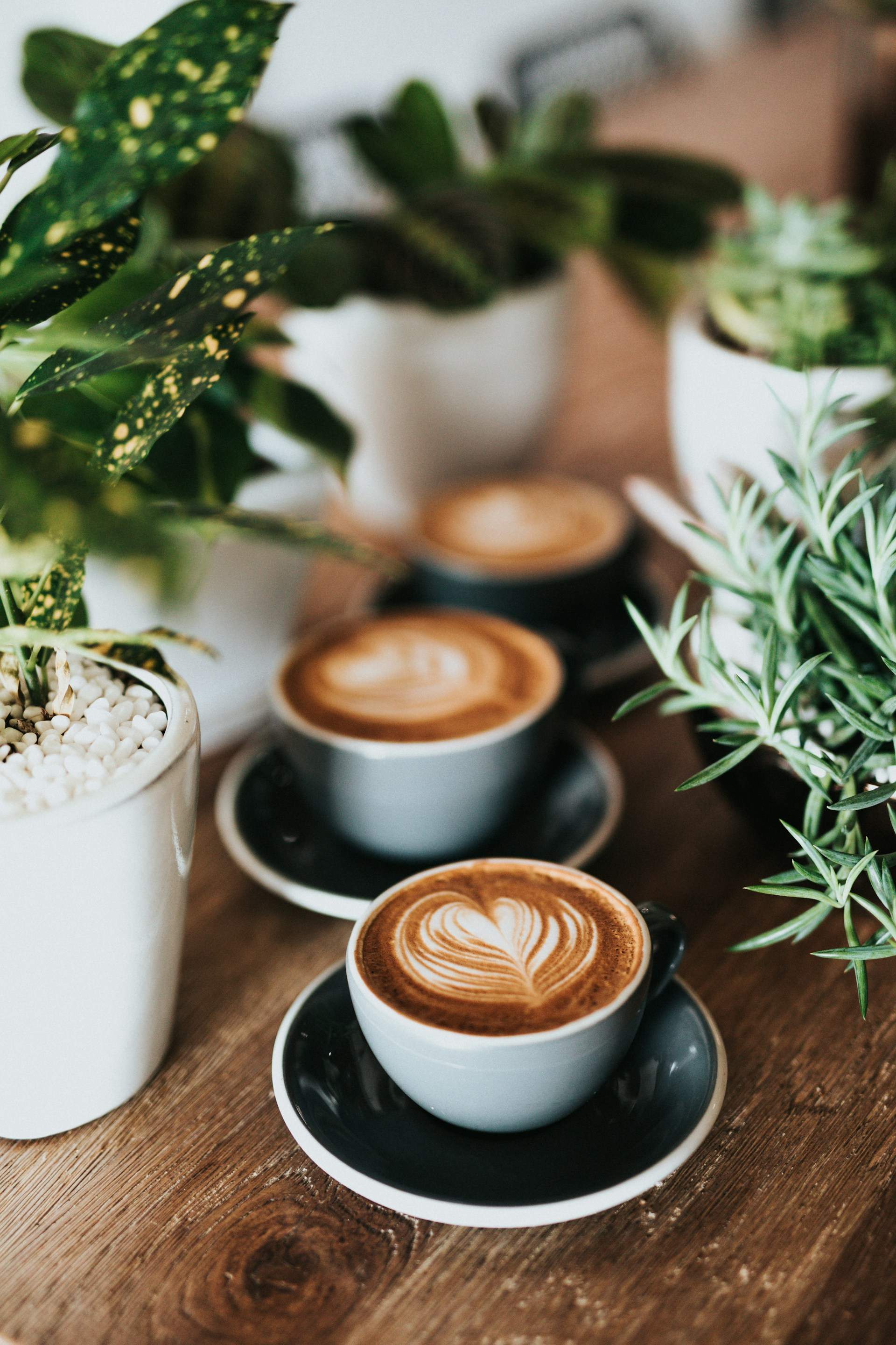 Prendre cafè és bo o dolent per a la salut?