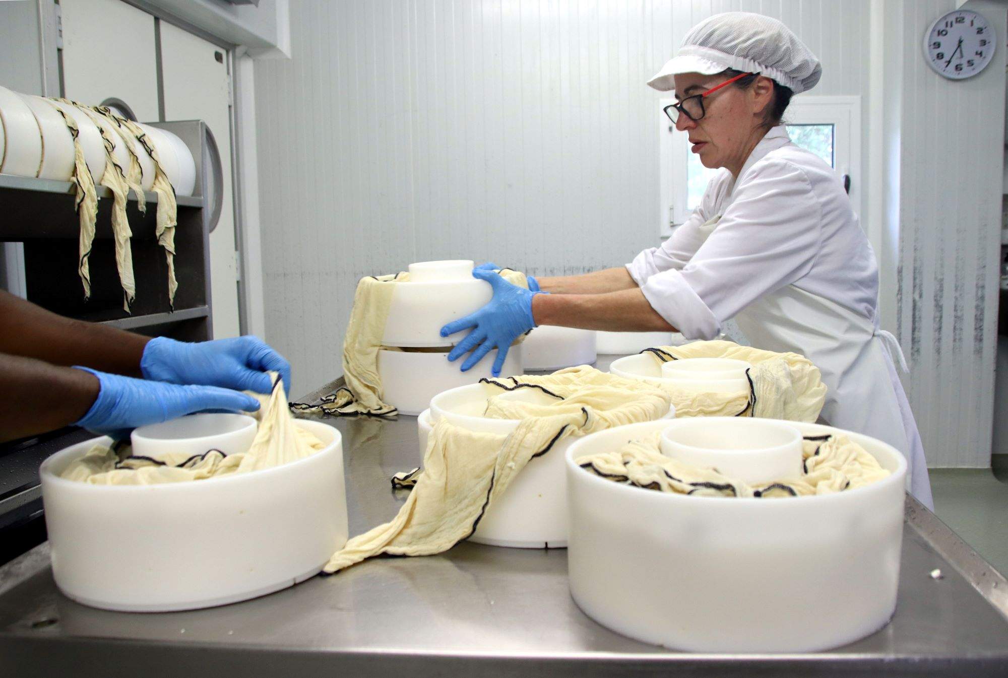 Neix el primer formatge català fet amb llet de vaca de raça autòctona dels Pirineus