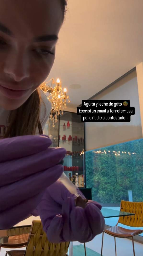 Joana Sanz i el rat penat, Instagram