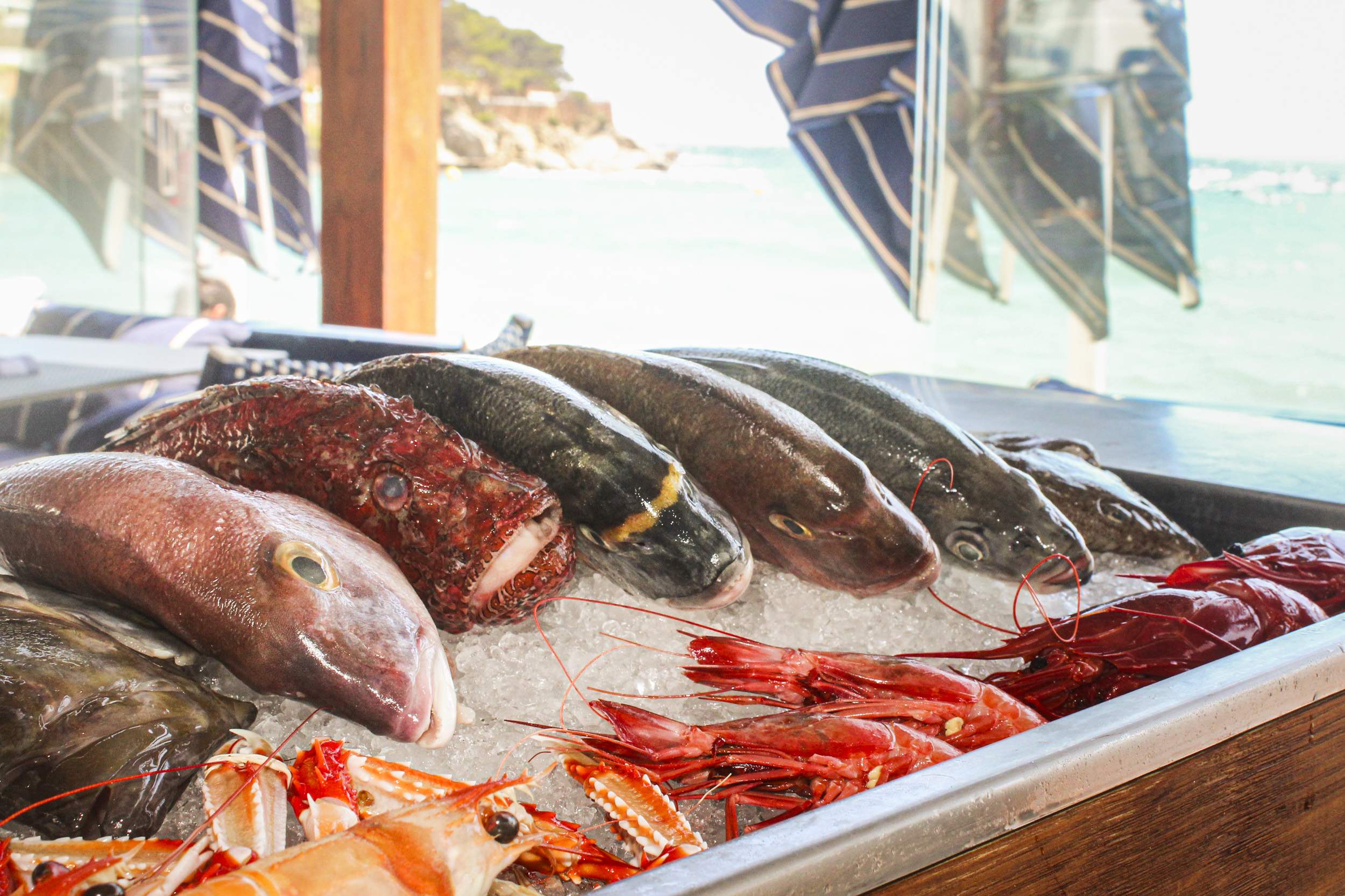 La mejor taberna de la Costa Brava, que es un auténtico templo del pescado y el marisco frente al mar