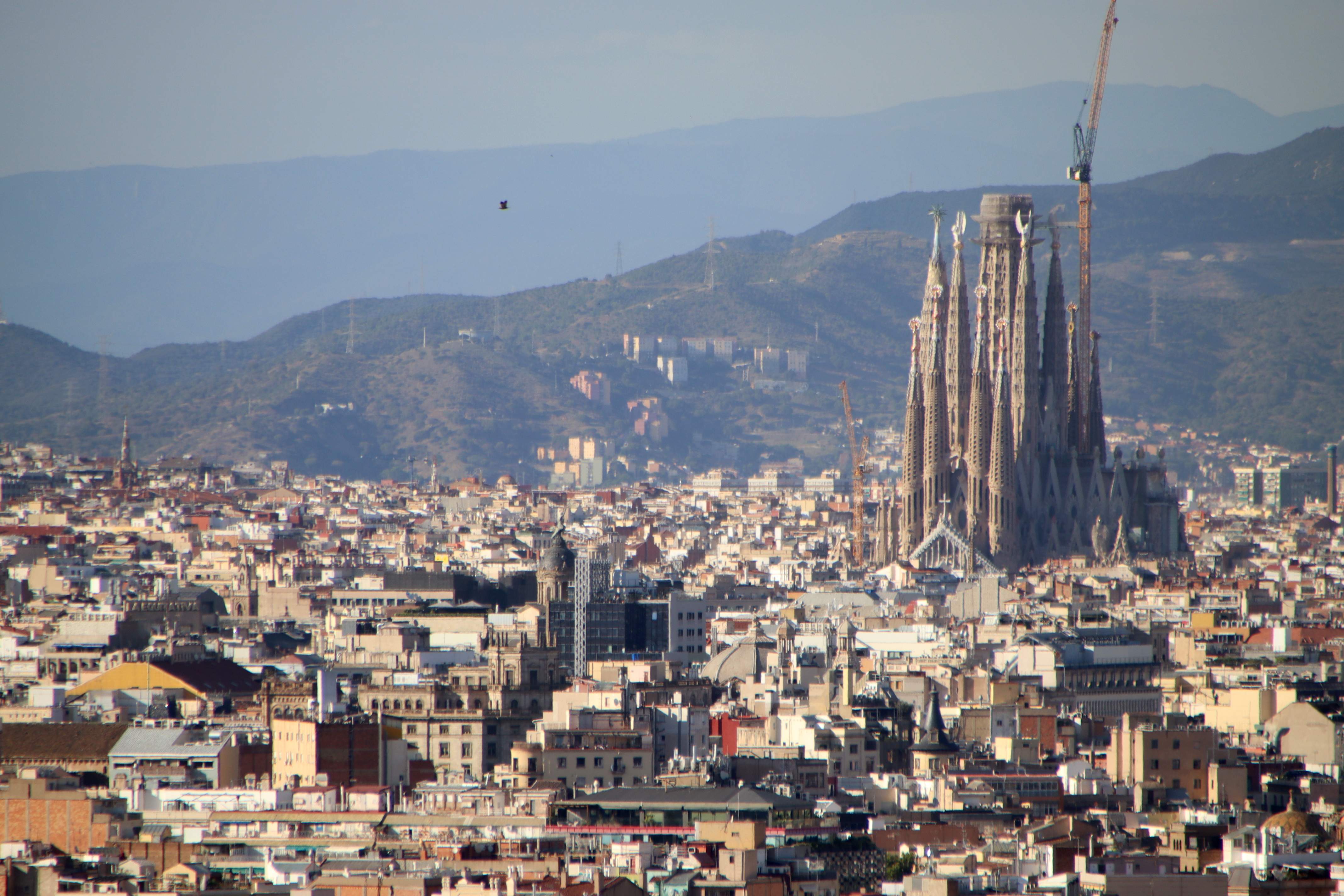 La qualitat de l'aire de Barcelona millora: els nivells més baixos d'NO2 des que hi ha registres