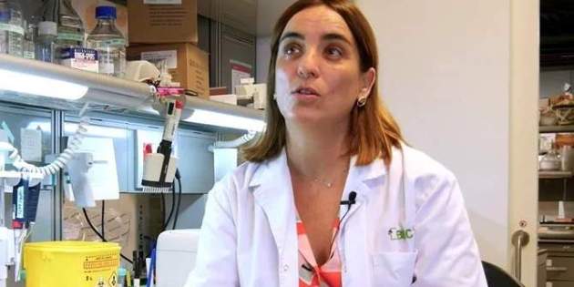 Nuria Montserrat Pulido nueva consejera|consellera d Universidades e Investigación|Búsqueda