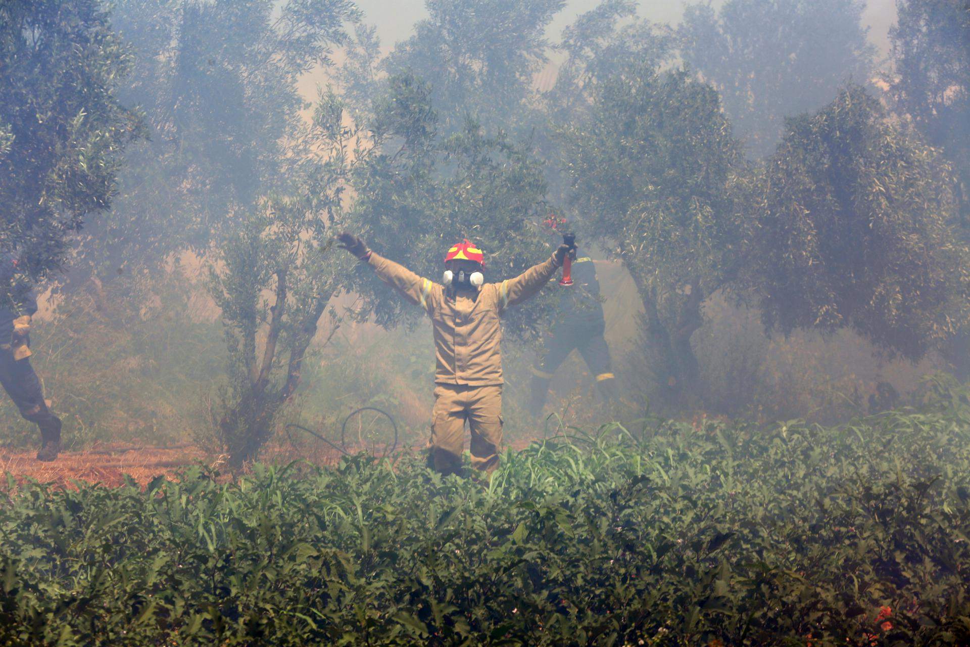 Grecia lucha contra un incendio salvaje: un fuego enorme a 20 kilómetros de Atenas