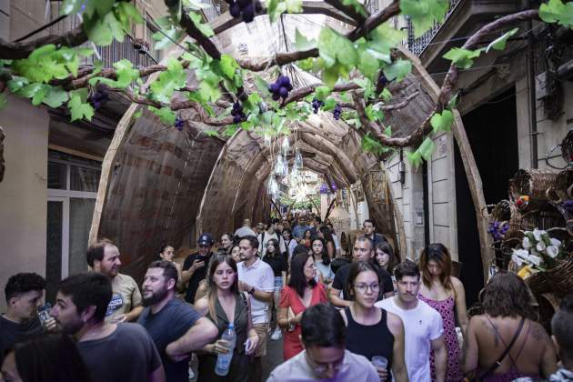 Festes de Gràcia 2024 / Foto: Carlos Baglietto