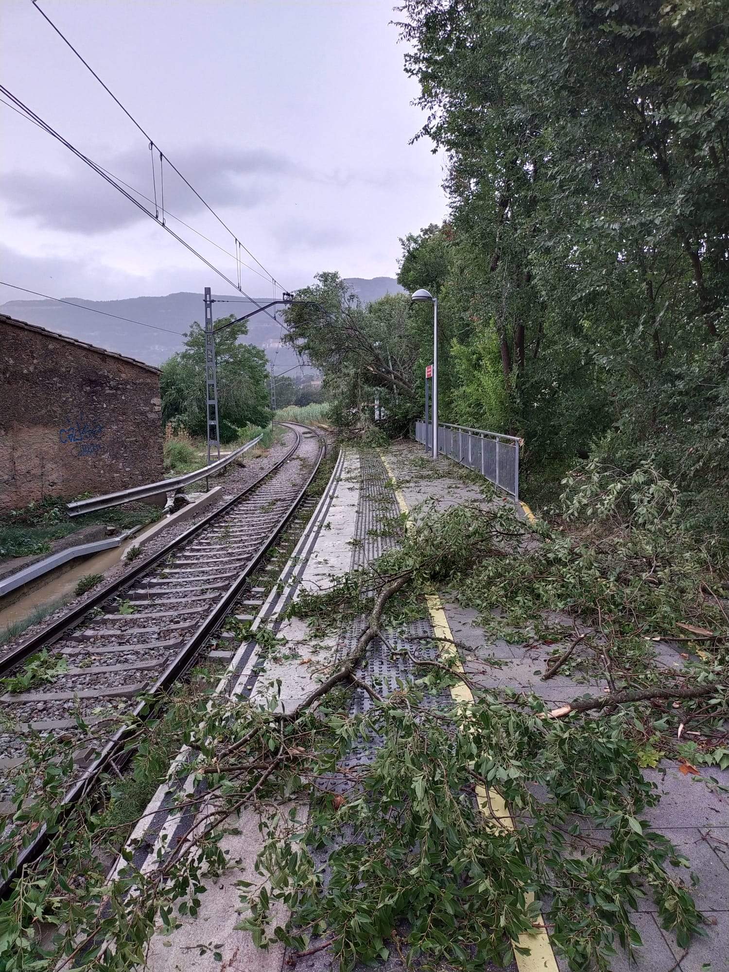 Interrompuda la circulació a l'R3 de Rodalies entre Centelles i Vic per un arbre caigut a la via