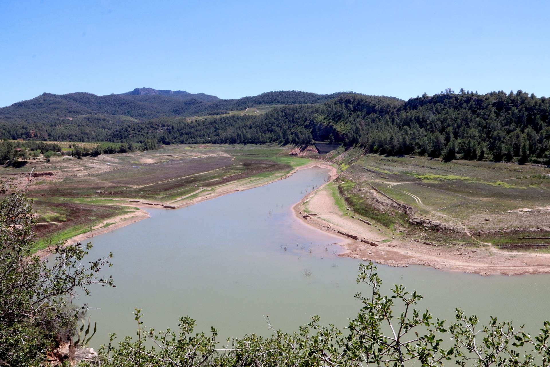 Situación crítica en el Priorat por la sequía: cortes de agua de más de 15 horas al día