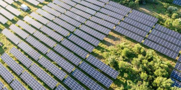 Paneles solares en medio de un bosque de árboles | Foto de 123RF/yuliufu