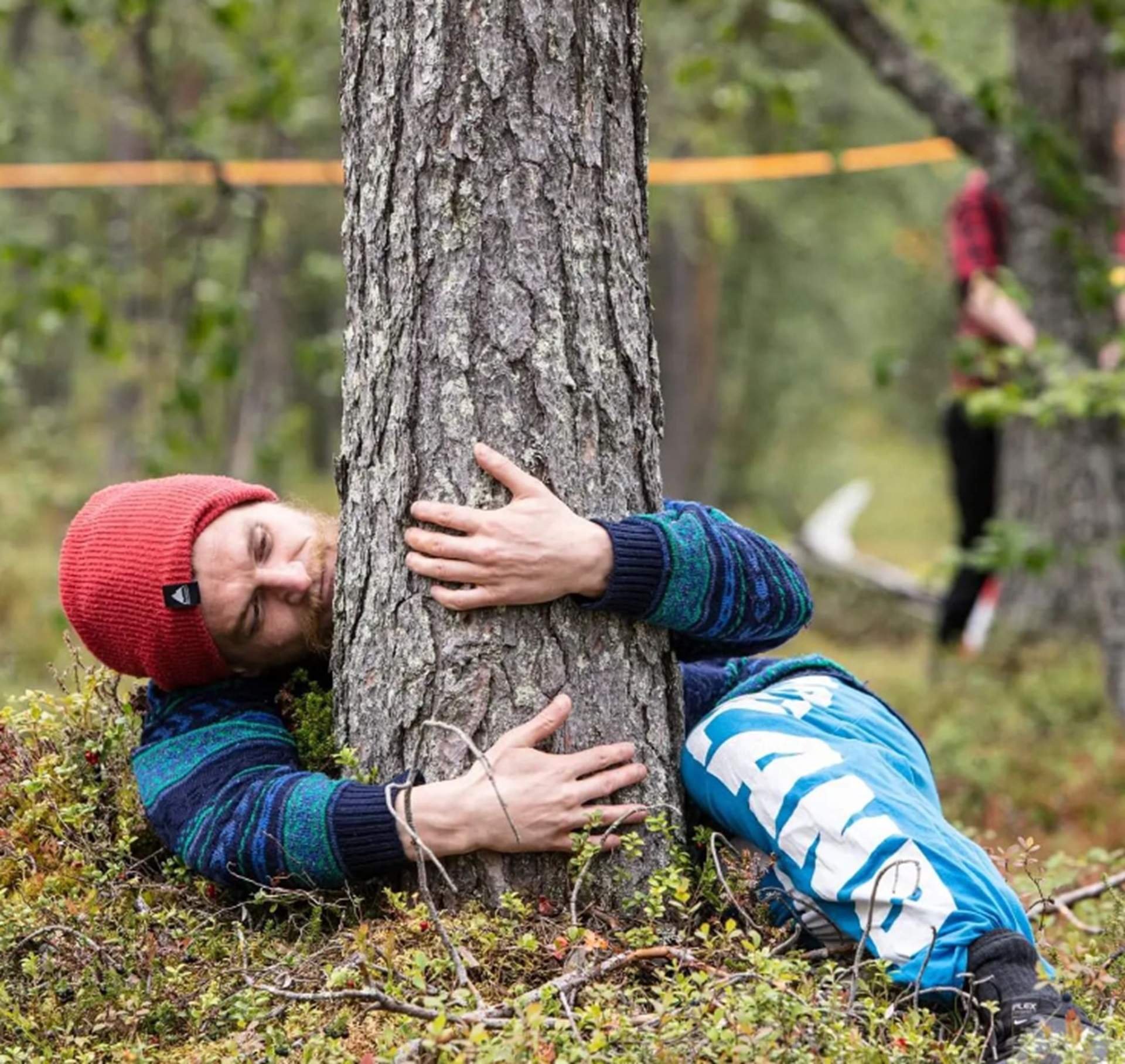 Finlàndia acull el campionat mundial d'abraçar arbres: les surrealistes proves per guanyar-lo