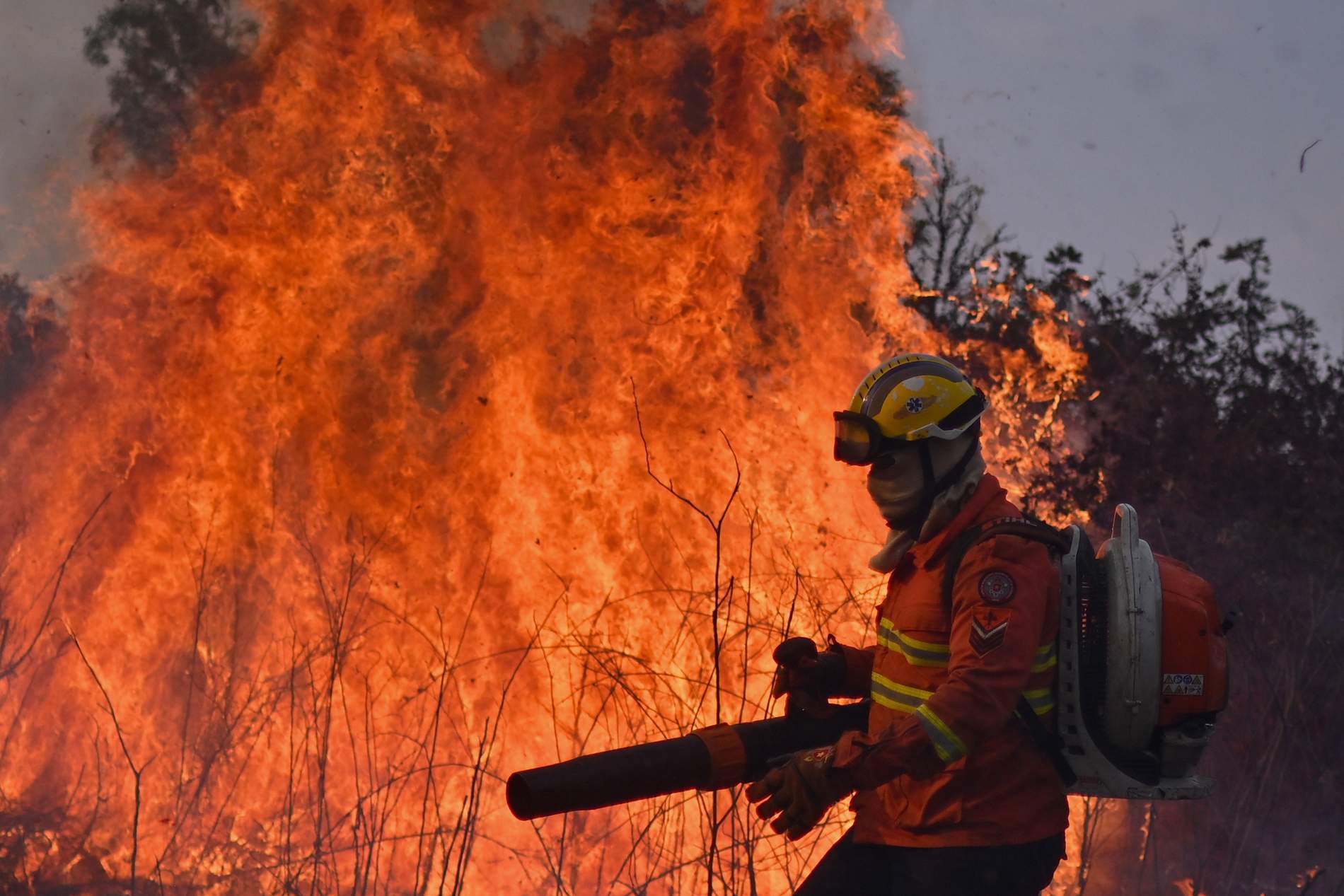 Brasil se quema: oleada de incendios en São Paulo, la Amazonia y el Pantanal que pueden ser orquestados