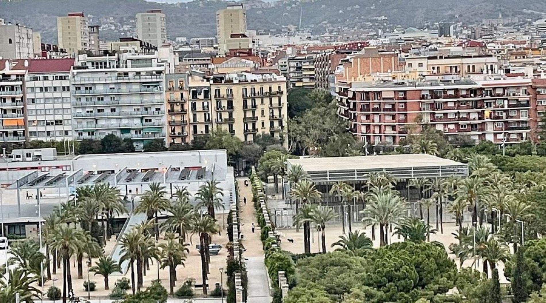 Barcelona tiene un déficit de verde urbano y la sindicatura quiere que se repongan los árboles talados