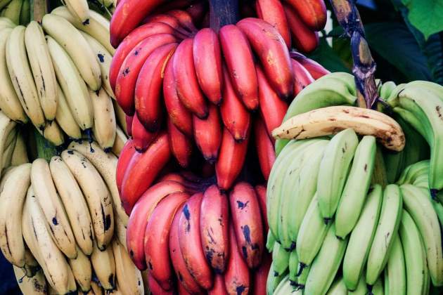 El plátano rojo es rico en antioxidantes / Foto: Unsplash