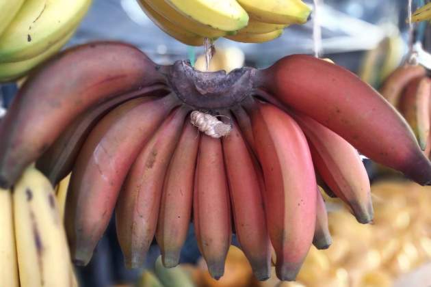 El plátano rojo tiene un alto contenido en fibra / Foto: Unsplash