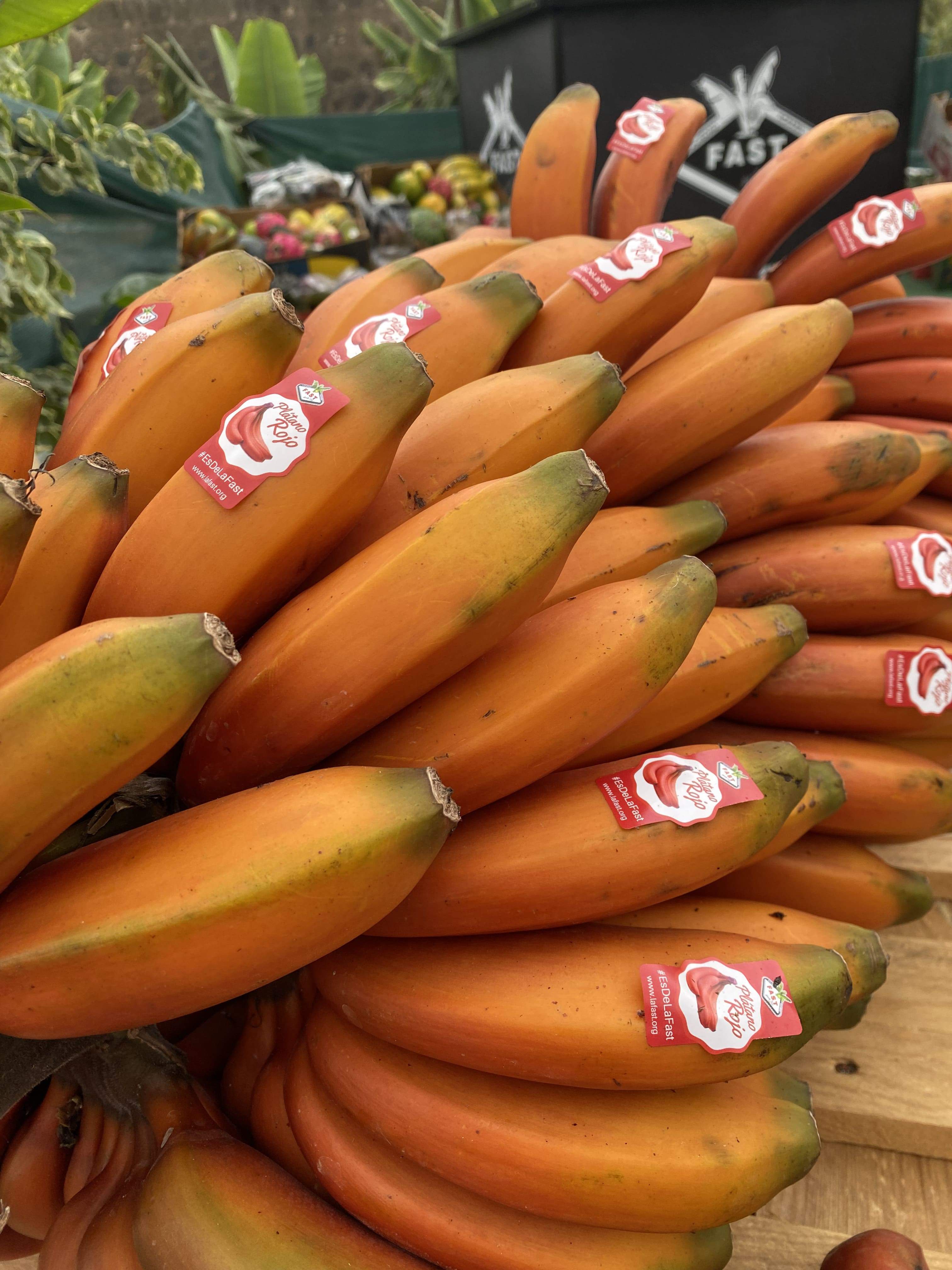 El plátano rojo: descubre las propiedades de esta sorprendente fruta