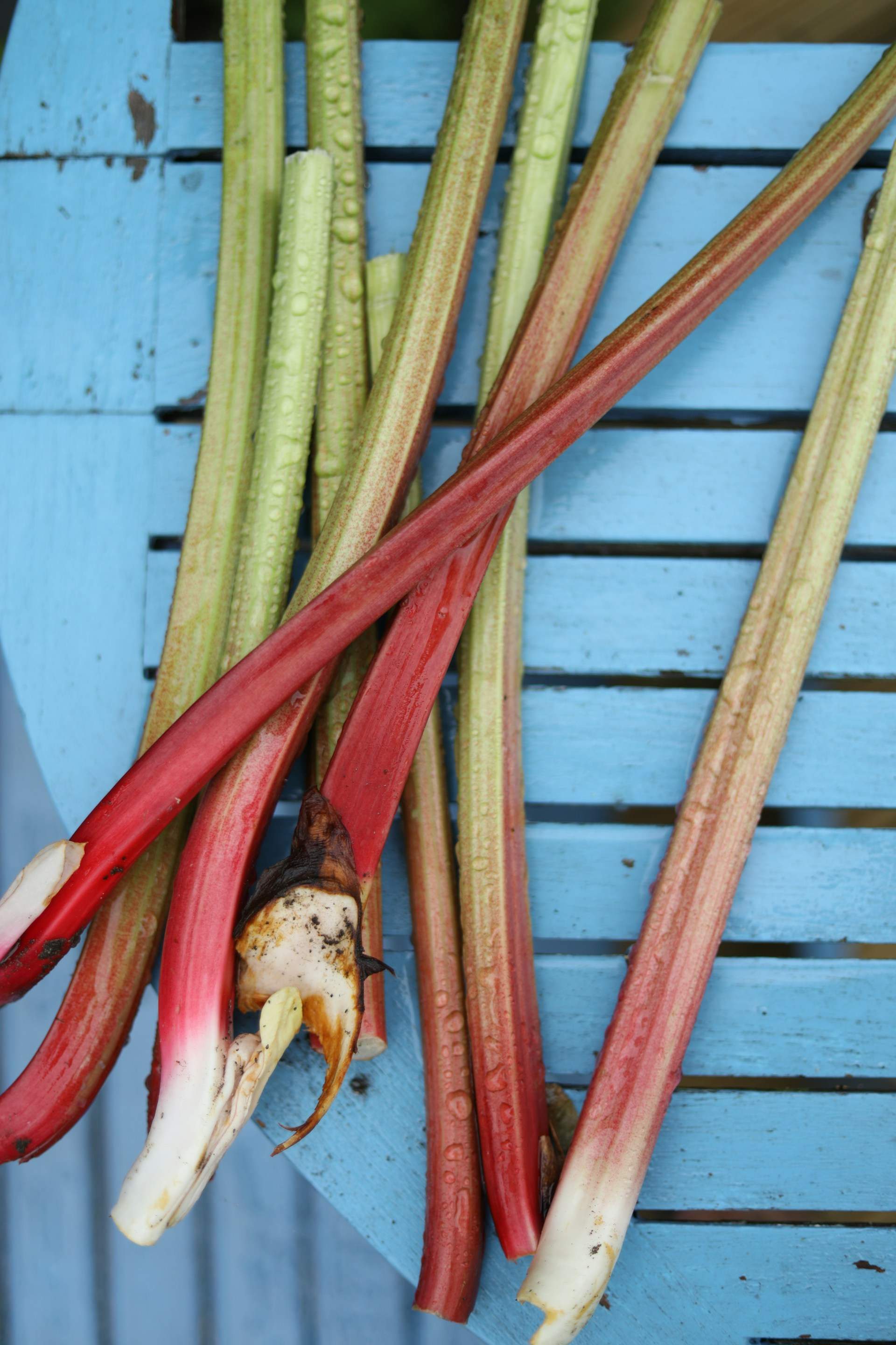 Descobreix els 6 aliments que amaguen tòxics nocius per a la salut