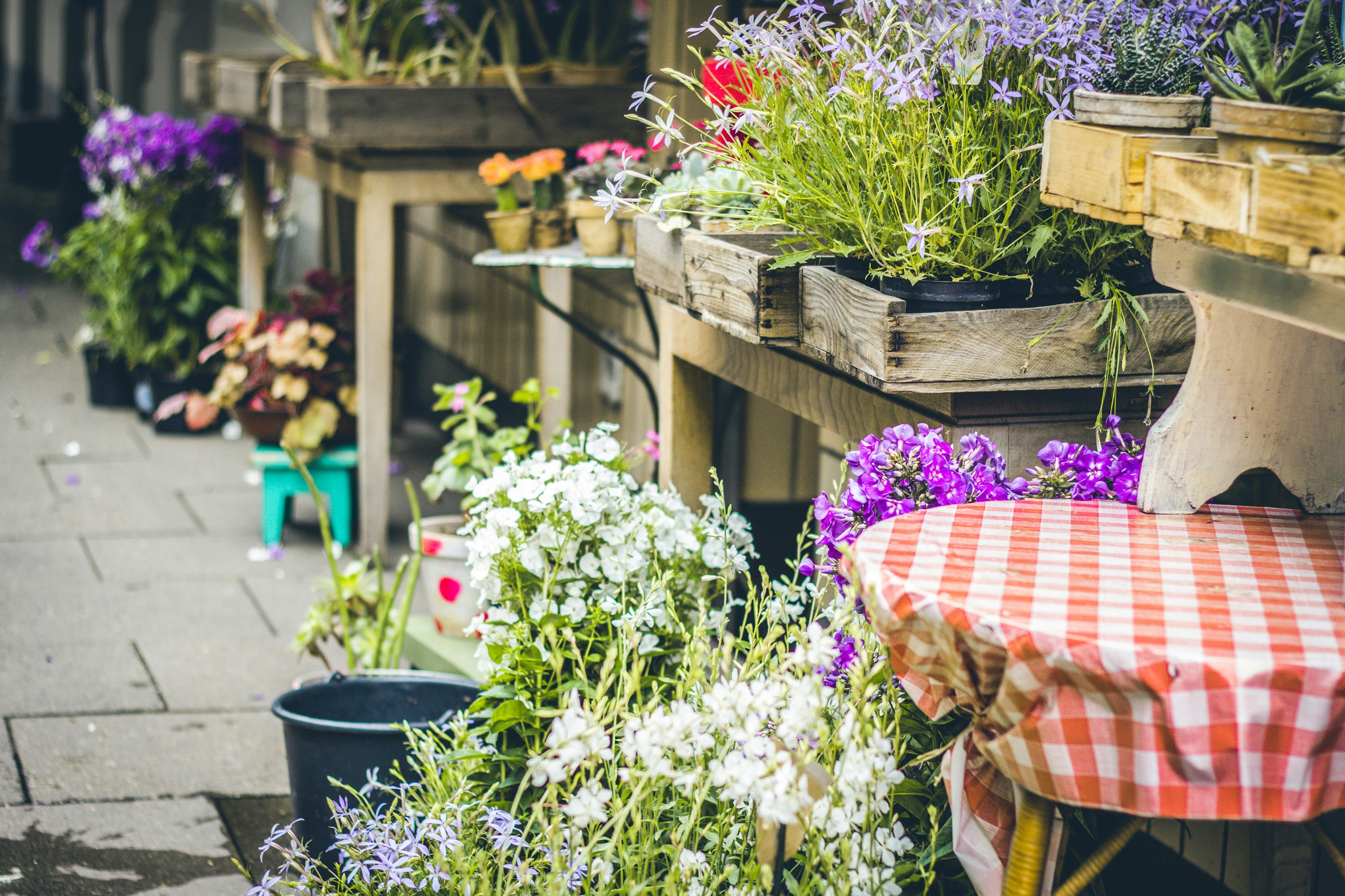 La clienta d'una floristeria denuncia que es neguen a atendre-la perquè parla català