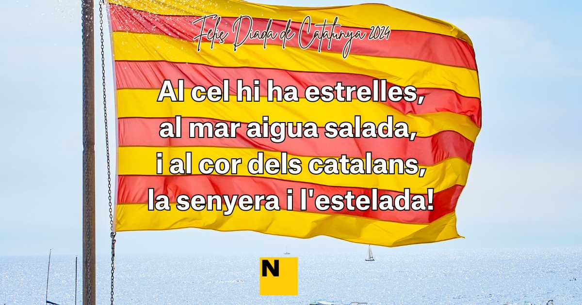 Feliç Diada de Catalunya 2024 1