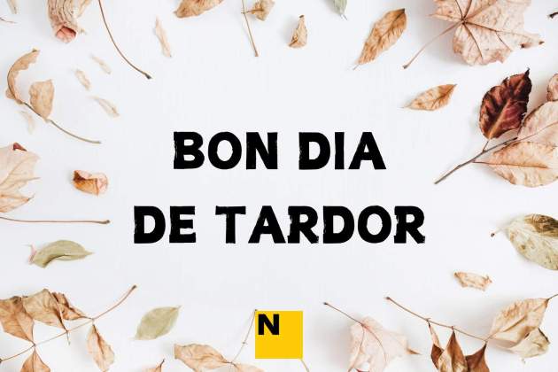 bona tardor 4