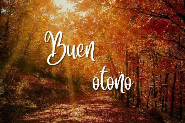 buen otoño 3