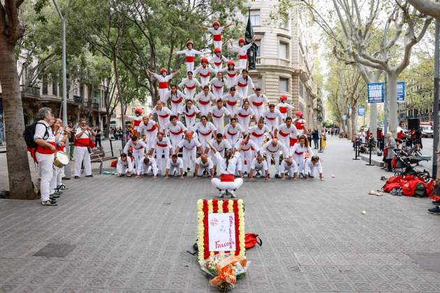 Diada 11S 2024 Ofrenda Floral a Rafael Casanova Falcons / Foto: Carlos Baglietto