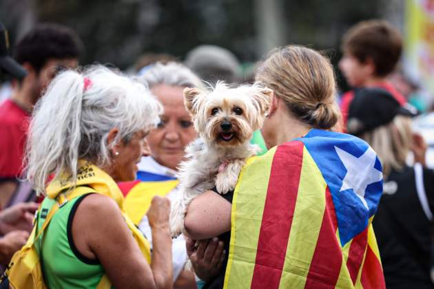 Diada 11S 2024 manifestació / Foto: Montse Giralt