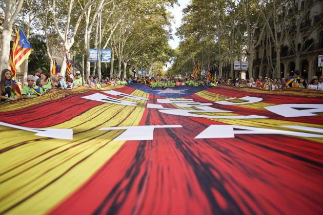 Diada 11S 2024 manifestació / Foto: Irene Vilà