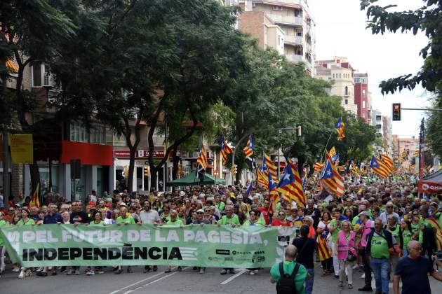 diada manifestació lleida acn 2