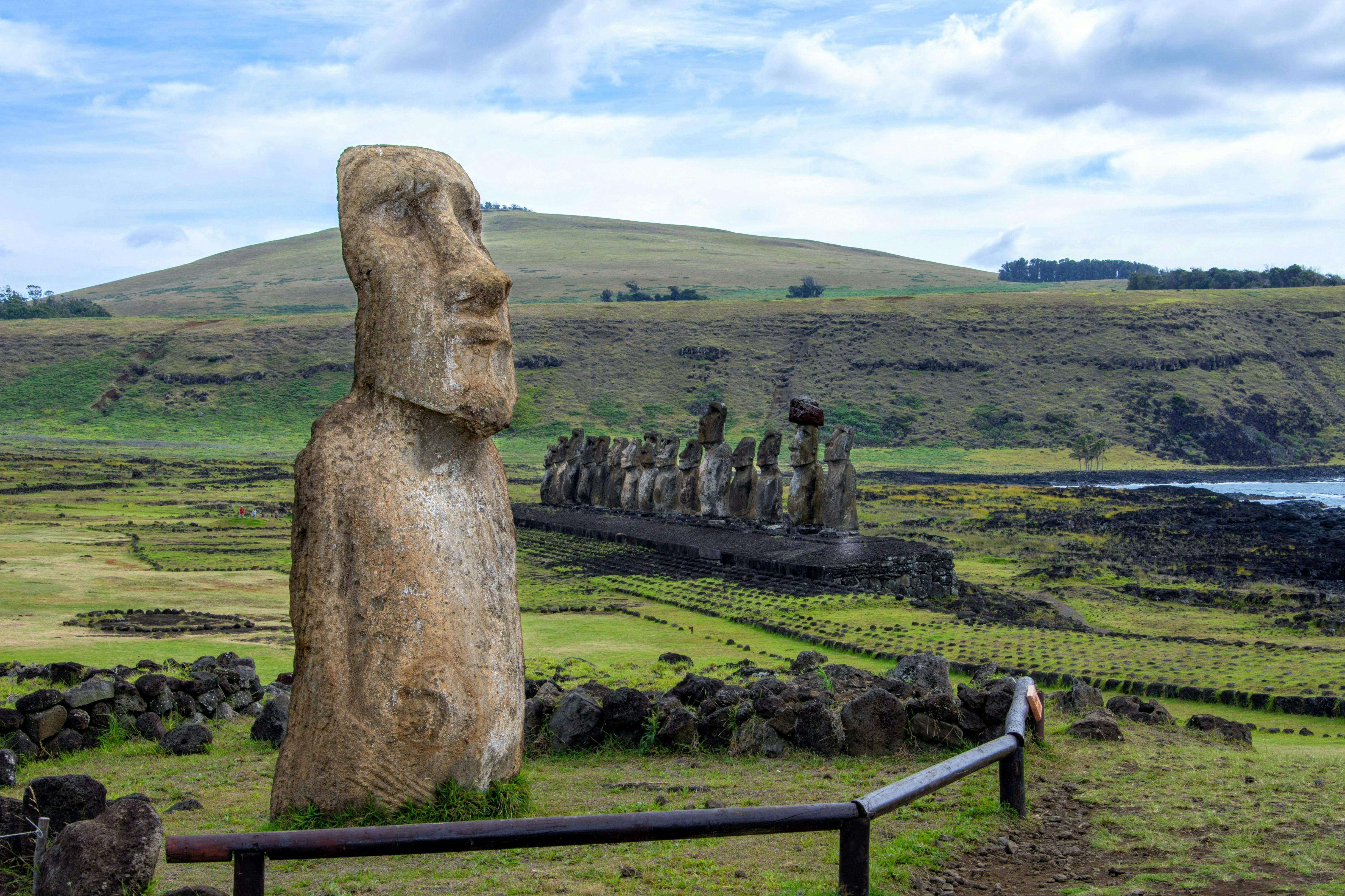 ¿Por qué se extinguieron los rapanui de la Isla de Pascua? El ADN da la respuesta