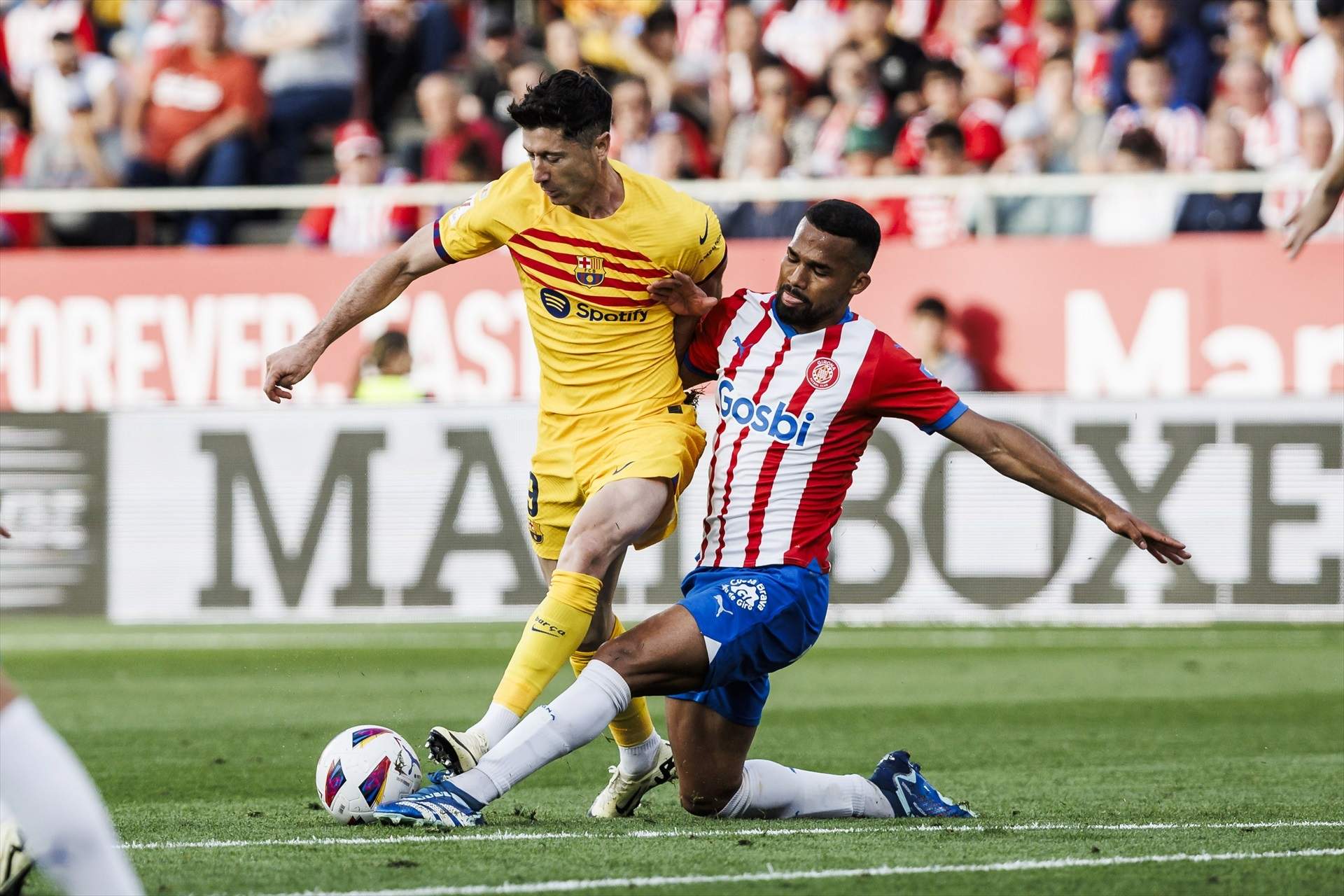 80 milions, el Barça troba el substitut de Lewandowski, estan tots d'acord, també Flick