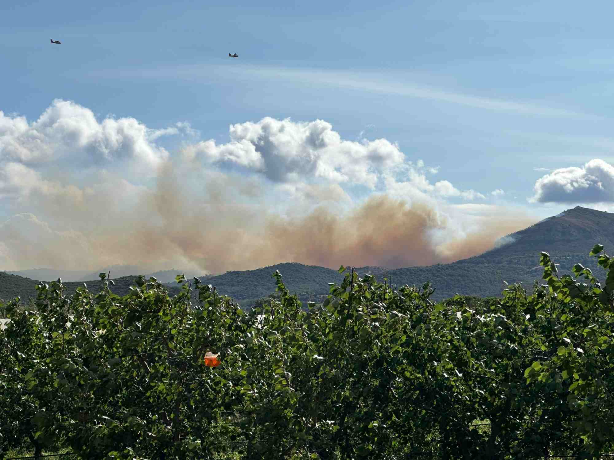 Controlat l'incendi forestal al peu del Canigó: uns 800 efectius dels bombers per apagar les flames