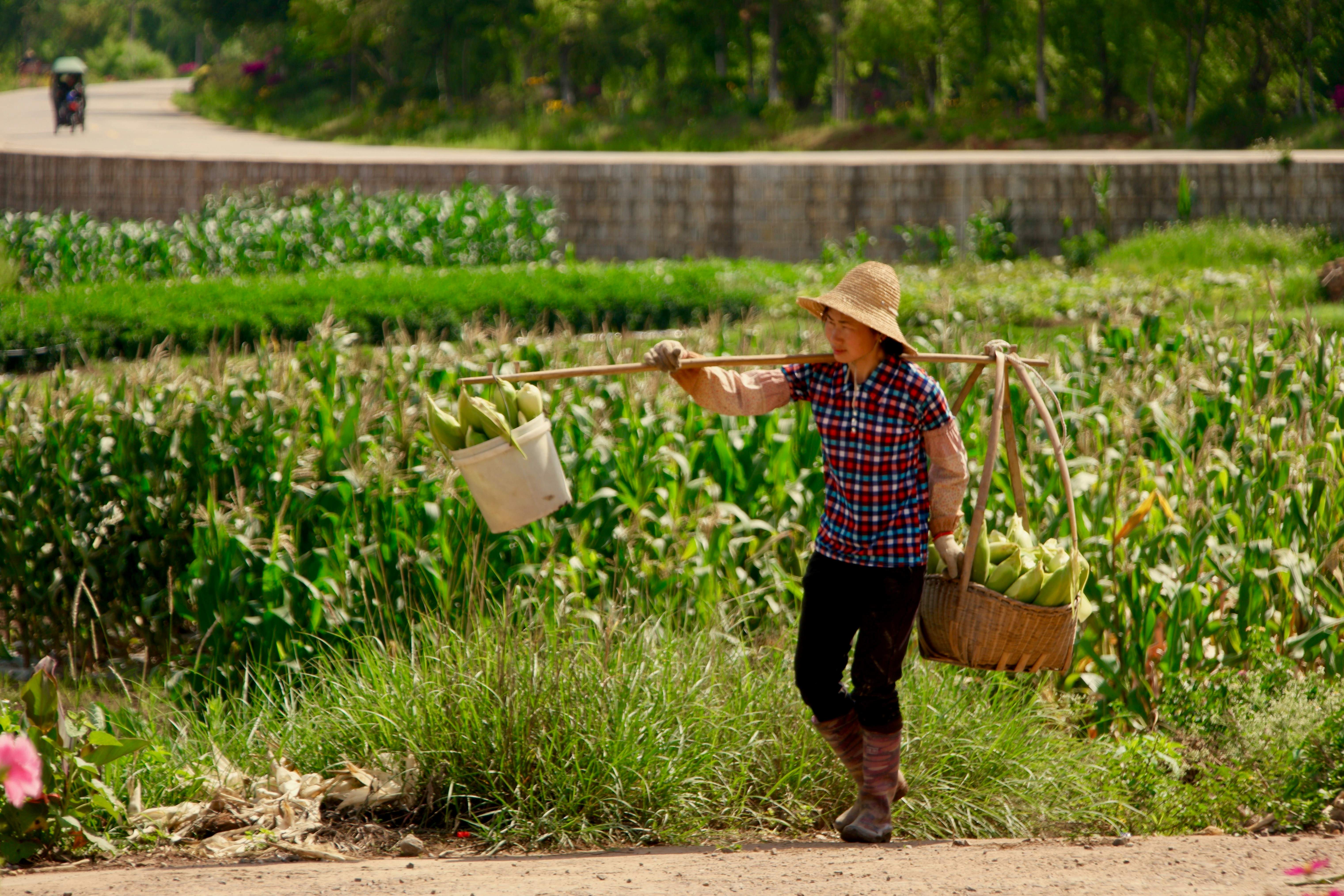 Aumentan los problemas demográficos en China: sube la edad de jubilación 5 años