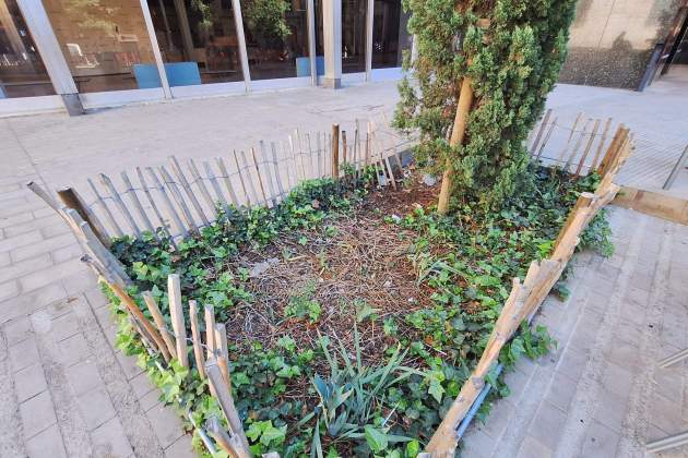 xeringa ajuntament barcelona plaça sant miquel junts 2