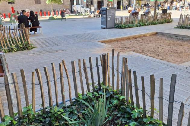 jeringa ayuntamiento barcelona plaza santo miquel juntos 4