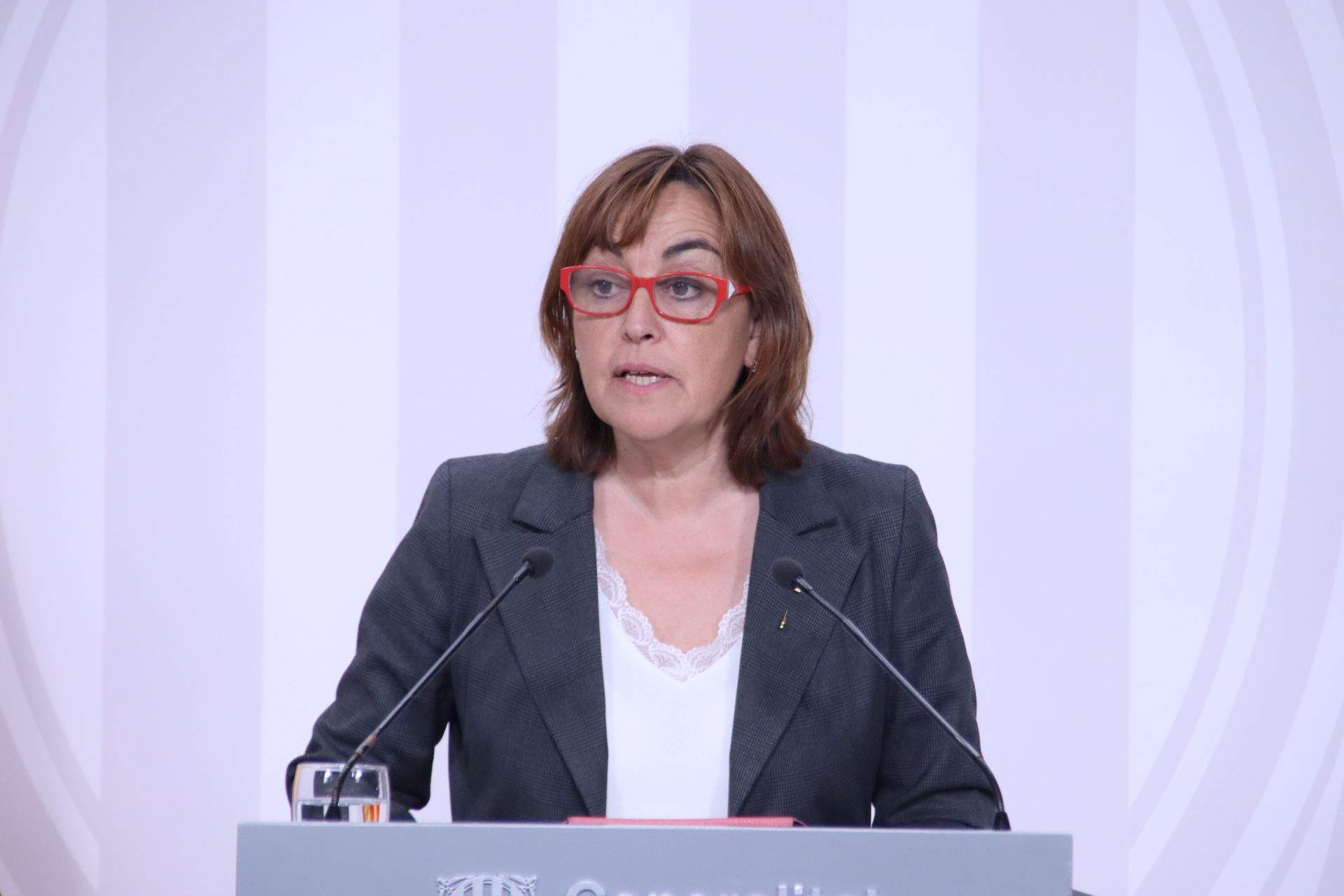 Silvia Paneque portaveu govern / ACN