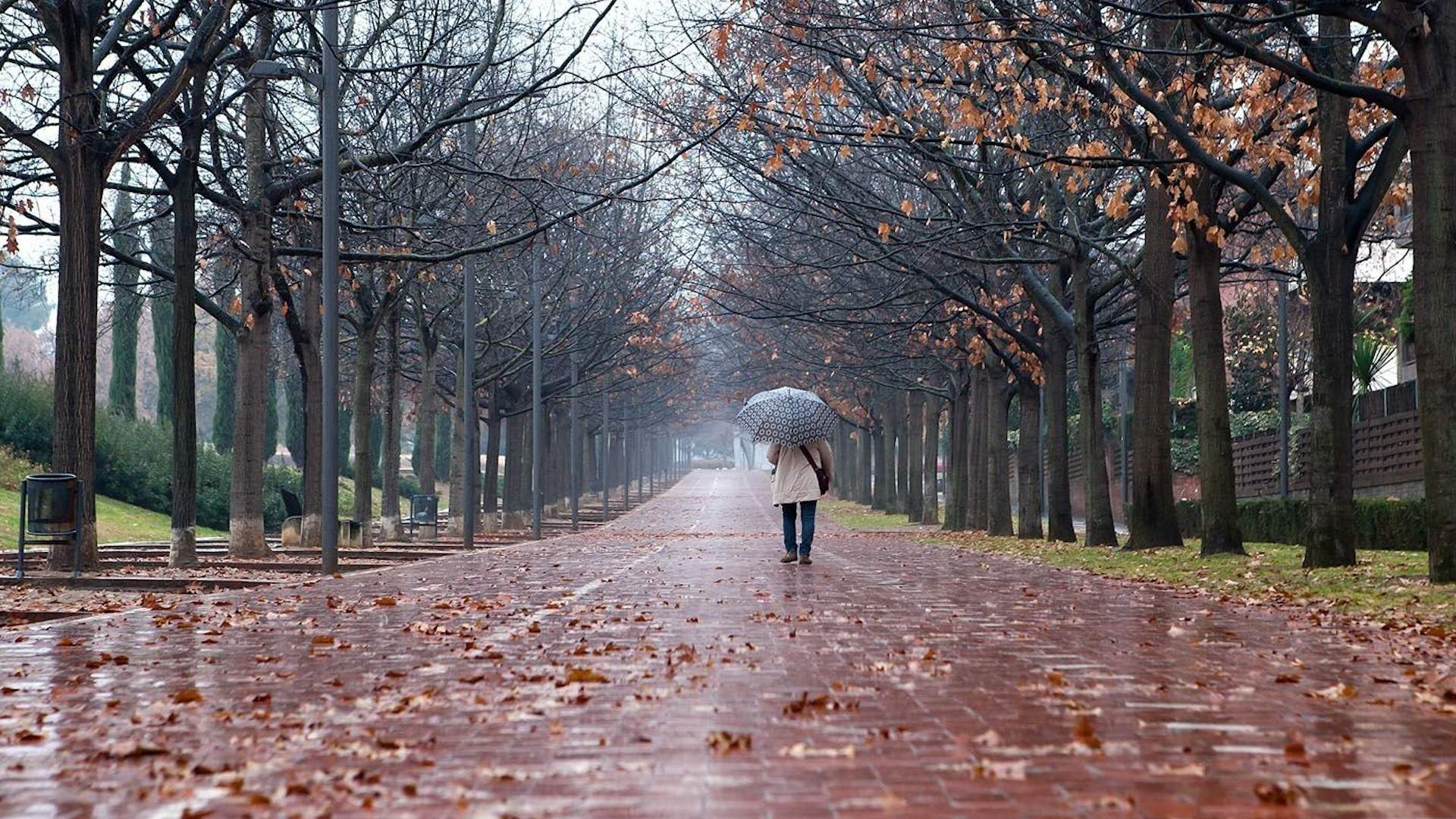 Bienvenido otoño: más tormentas, lluvia fuerte y diluvios nocturnos en Catalunya