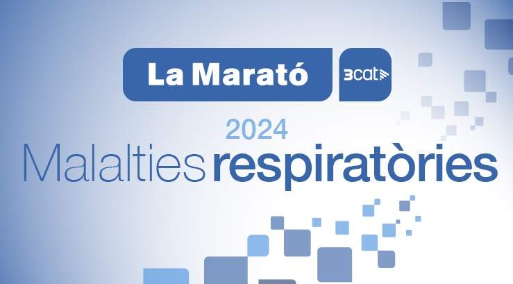 marato 2024