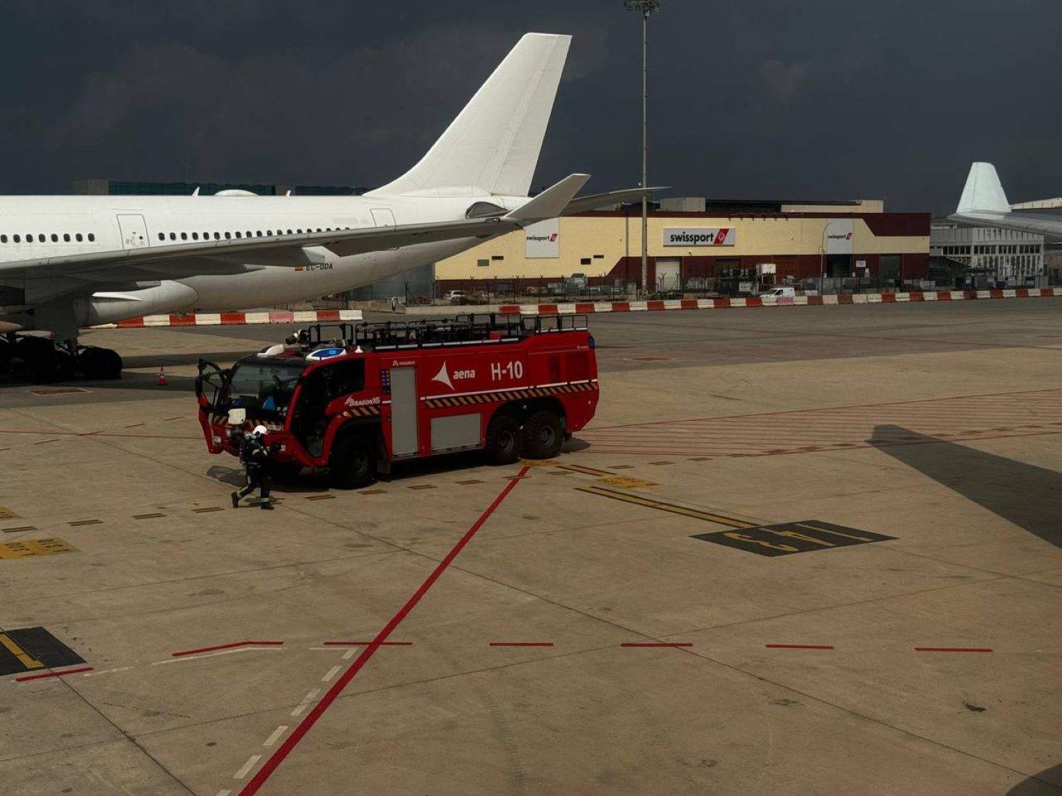 Ensurt al Prat quan un avió ha impactat contra un estol d'aus en ple enlairament