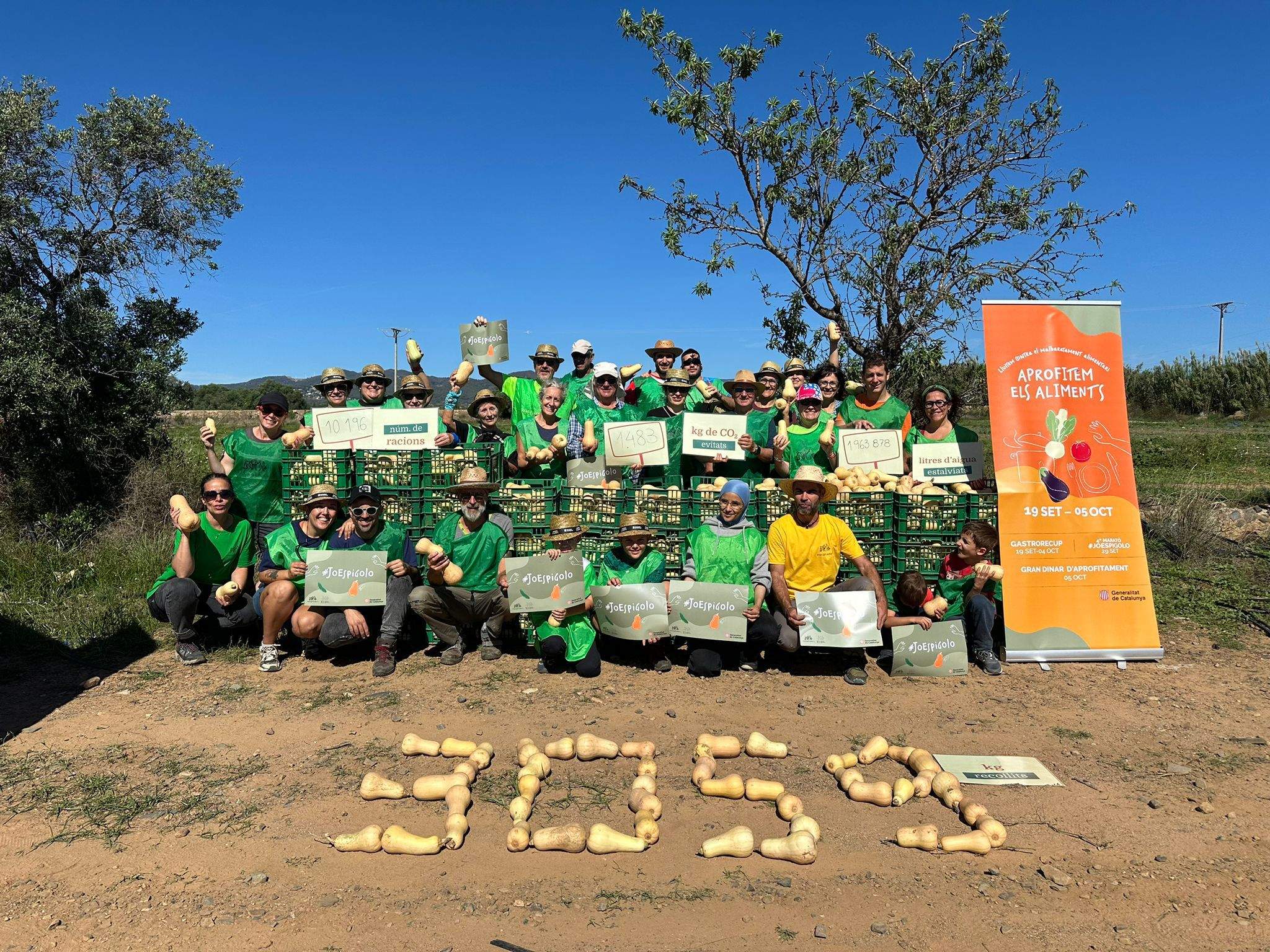 Voluntarios contra el despilfarro elimentari recuperan 12 toneladas de fruta en los campos catalanes