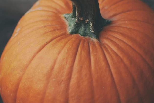 La calabaza es un alimento muy versátil / Foto: Unsplash