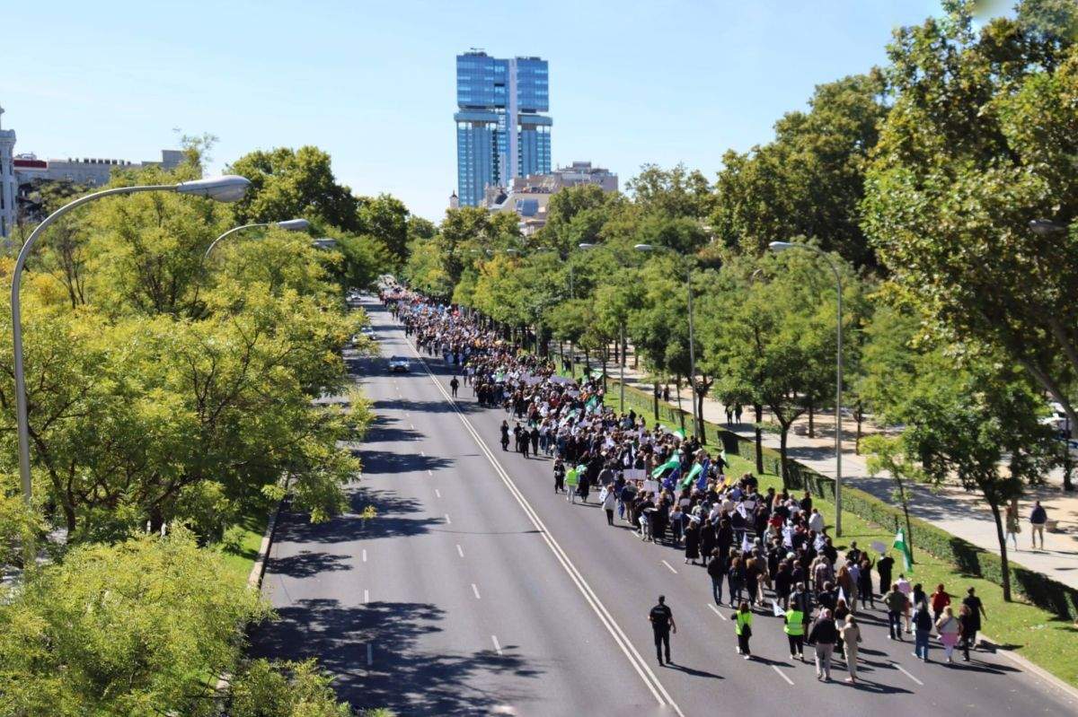 La manifestació per demanar una "passarel·la" al RETA no aconsegueix reunir la majoria de professionals