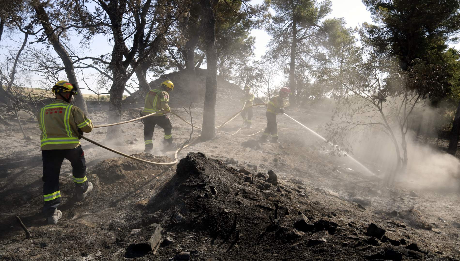 VIDEOPÒDCAST | Darrere les flames: així s'organitzen Bombers i pagesos per salvar els boscos