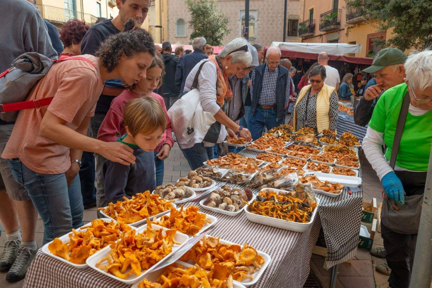 Calendario de setas 2024: todas las ferias y mercados de la seta en Catalunya