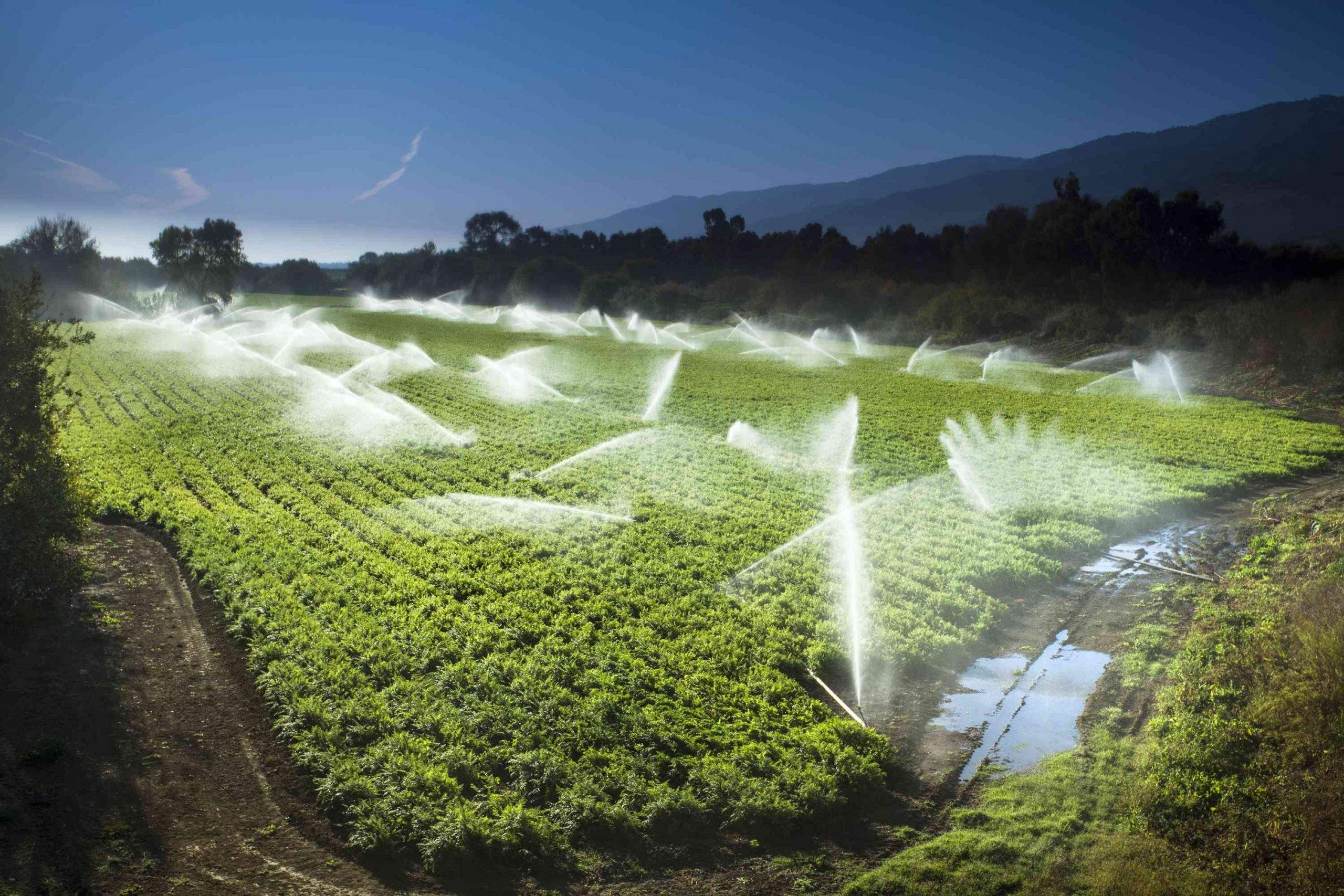 Los sistemas de riego y abastecimiento de agua necesitan optimizarse