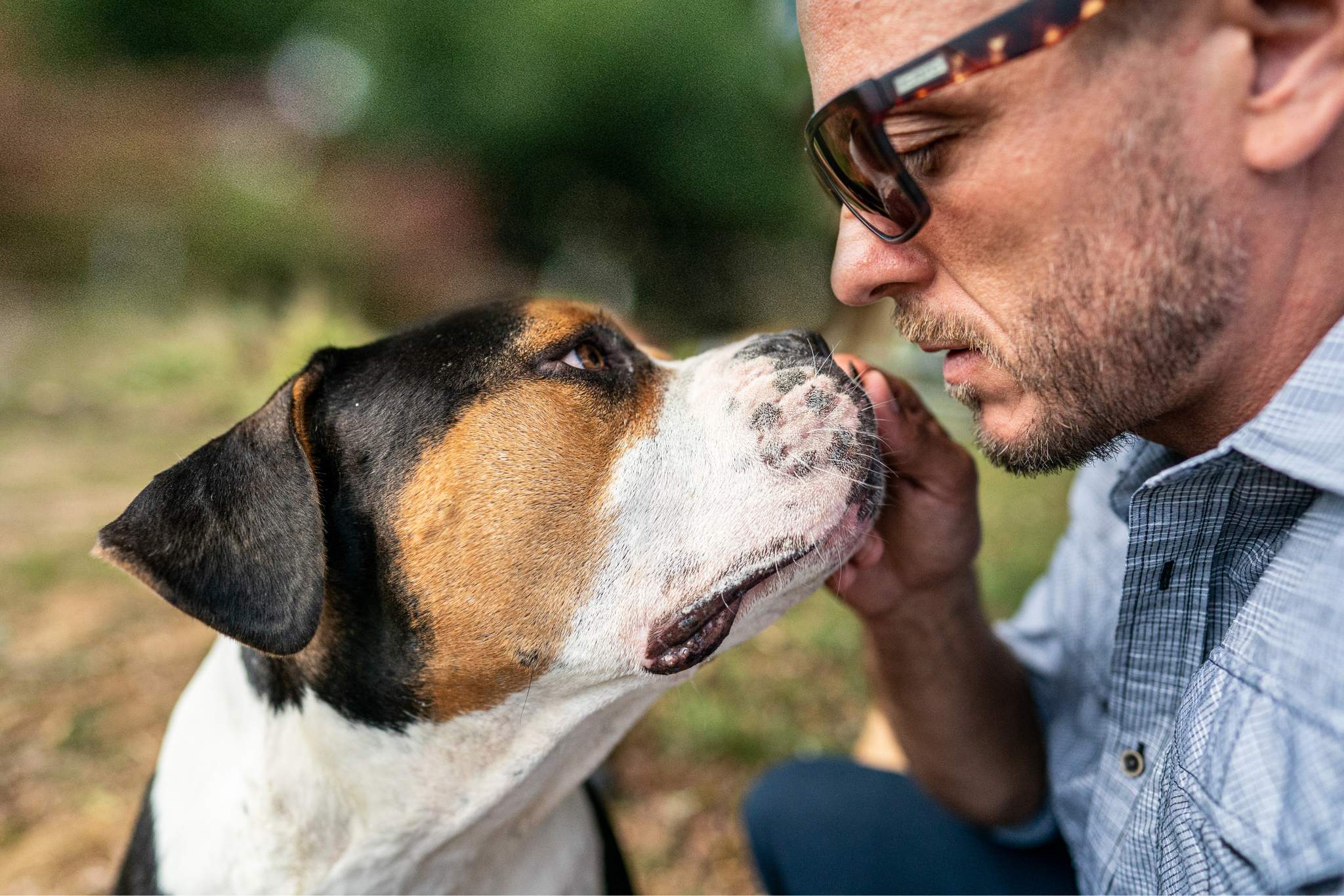 El 87% de los dueños de perros dice disfrutar de mejor salud mental desde que tiene uno