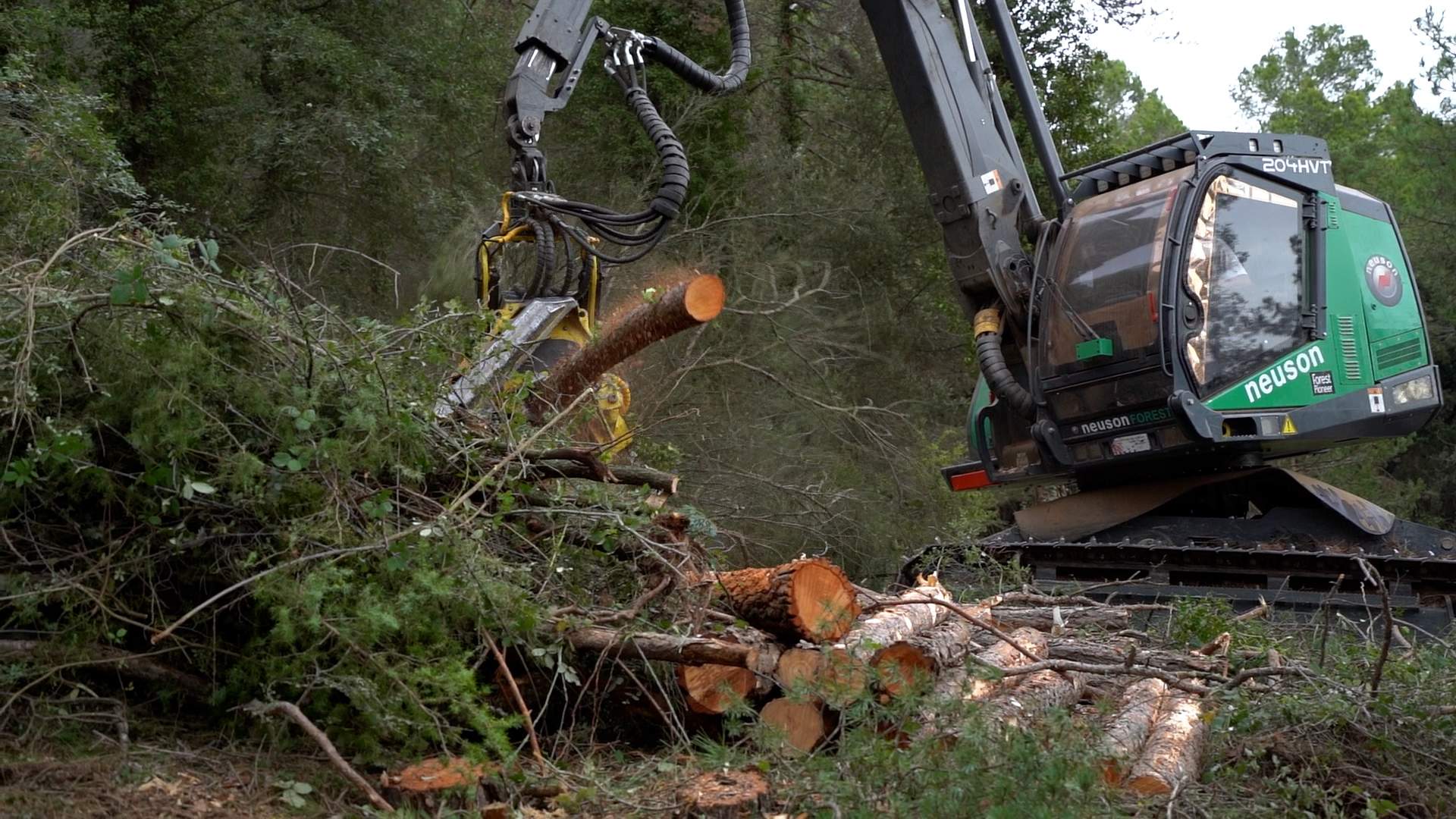 Innovación y Sostenibilidad al Servicio de los Bosques