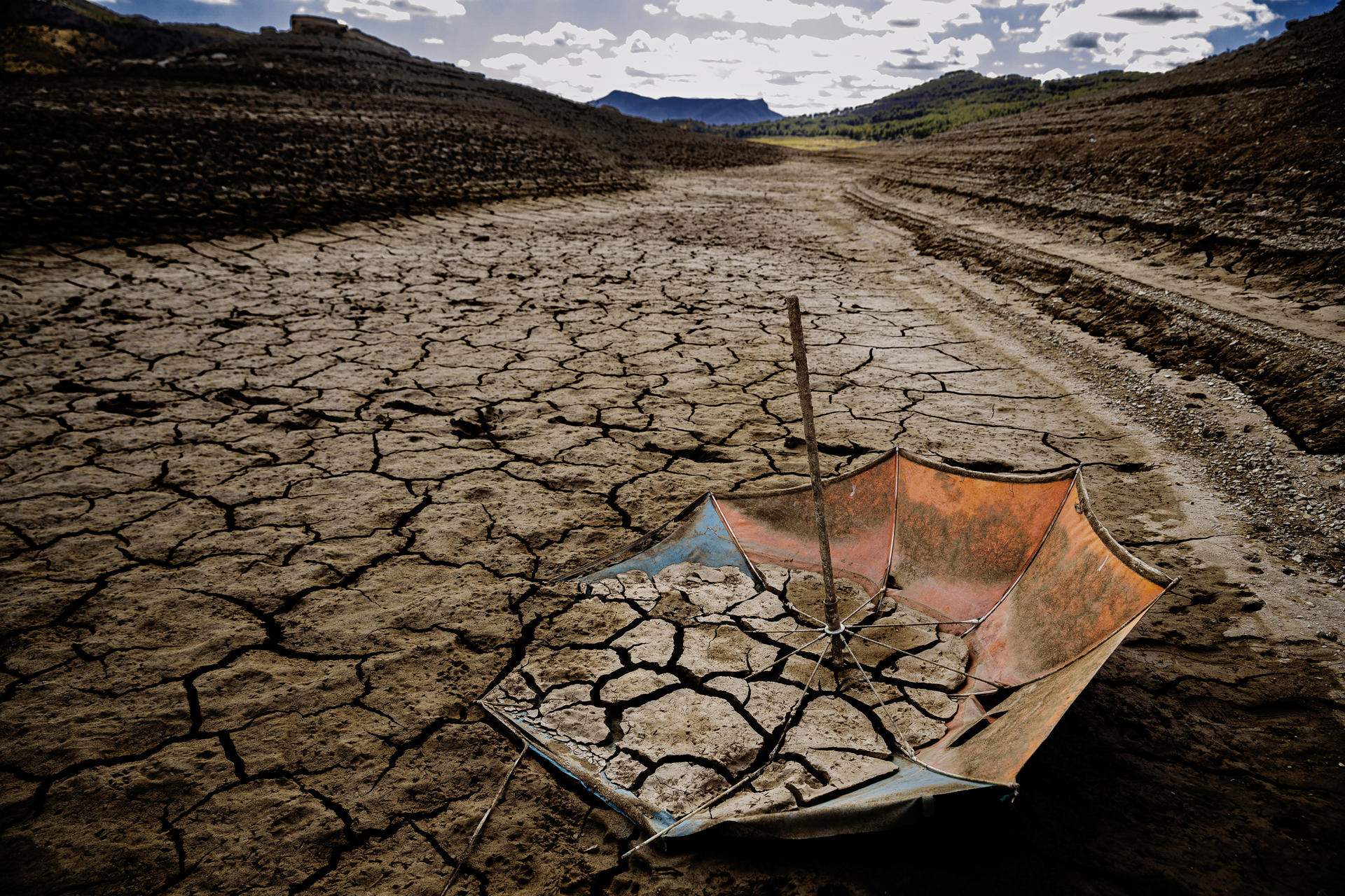 Quin impacte tindrà la crisi mundial de l'aigua en la producció d'aliments?