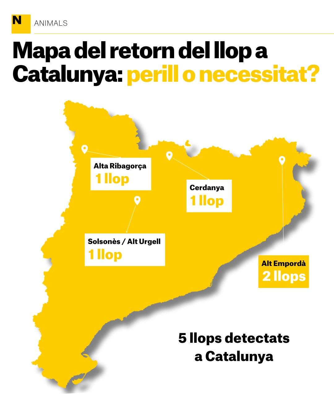 Mapa del retorn del llop a Catalunya perill o necessitat