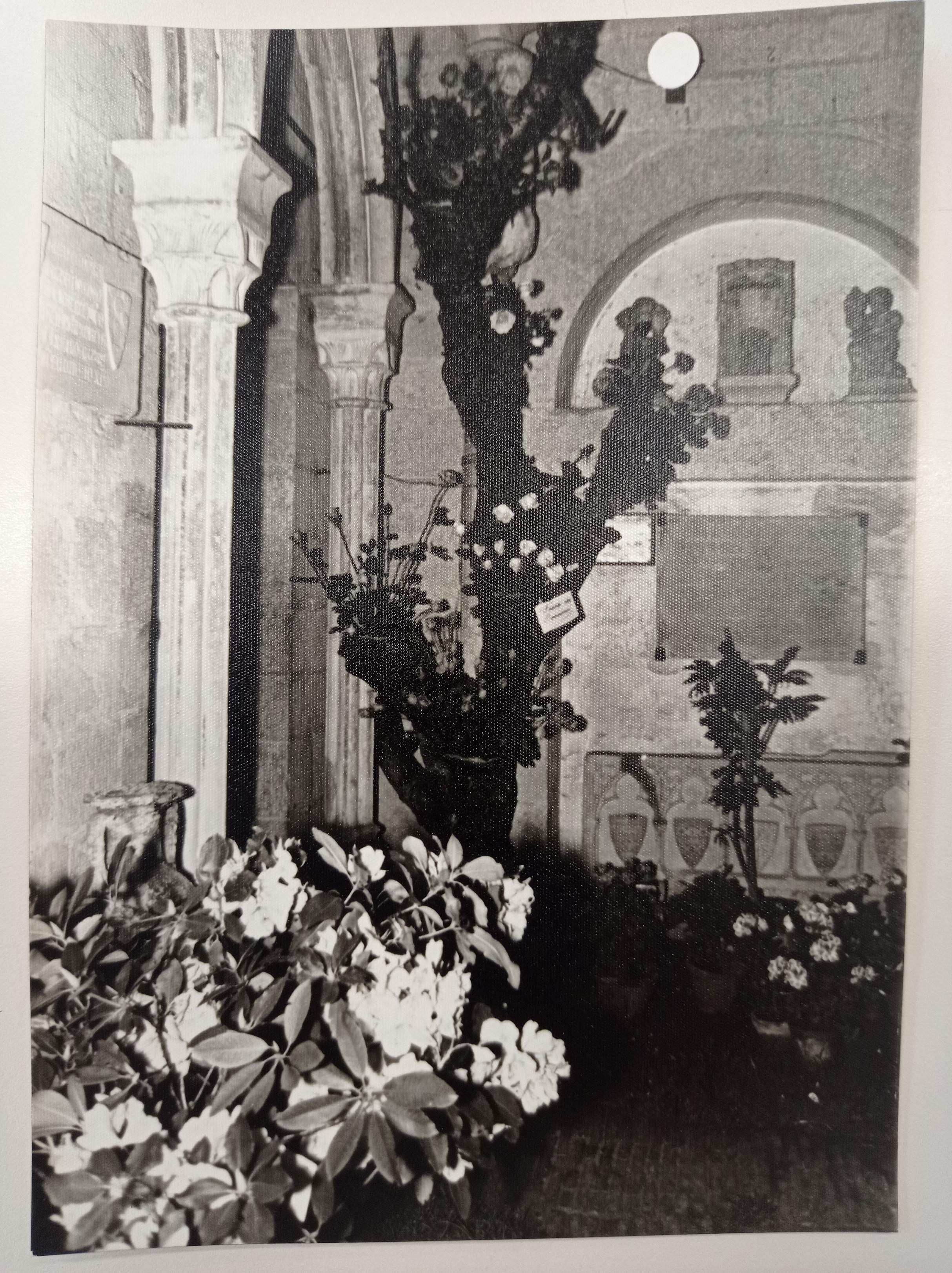 Lleona Girona a Sant Pere de Galligants, muntatge floral 1965 / ACN