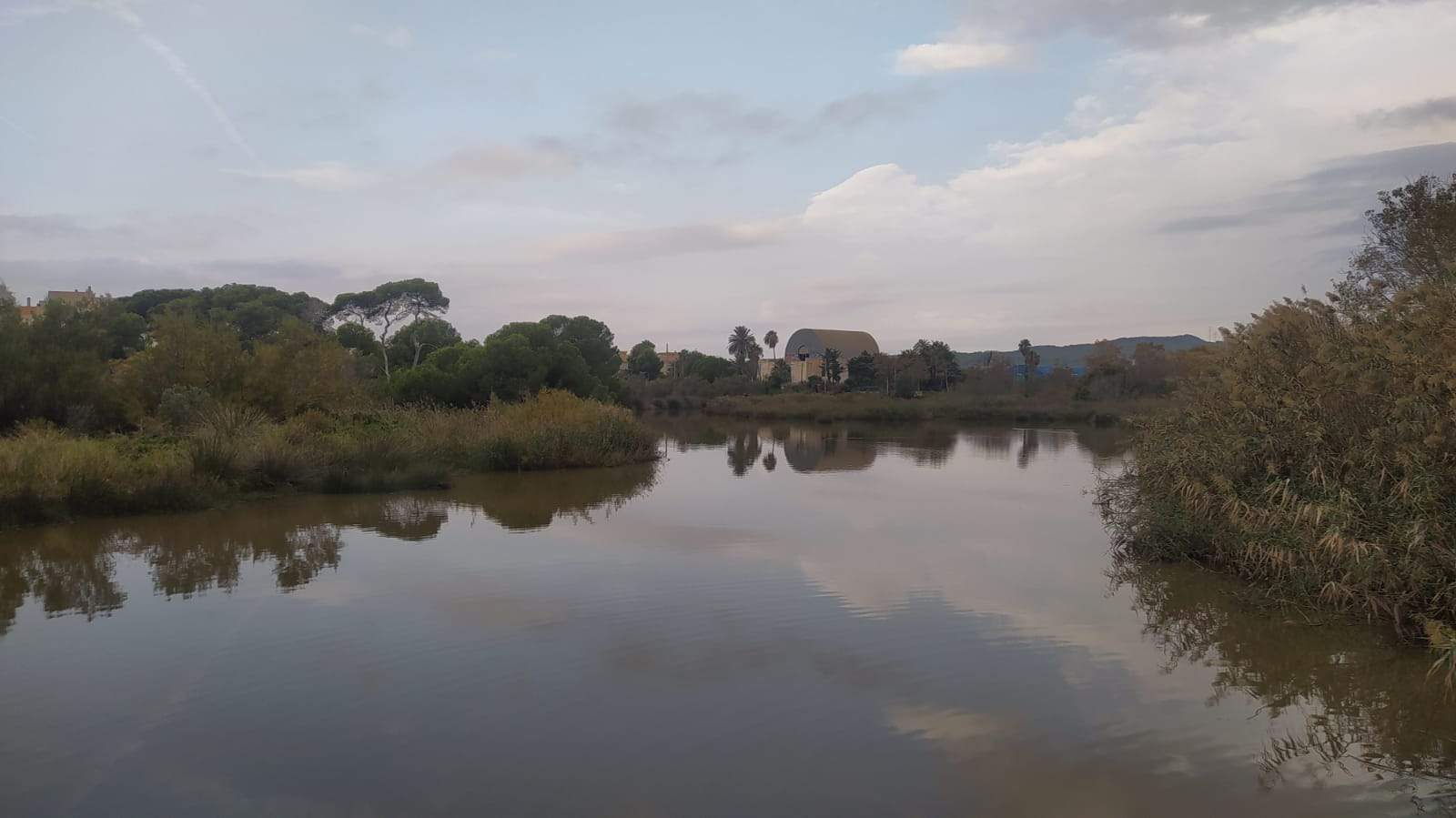 El río Foix a su paso por Cubelles este domingo (Garraf)