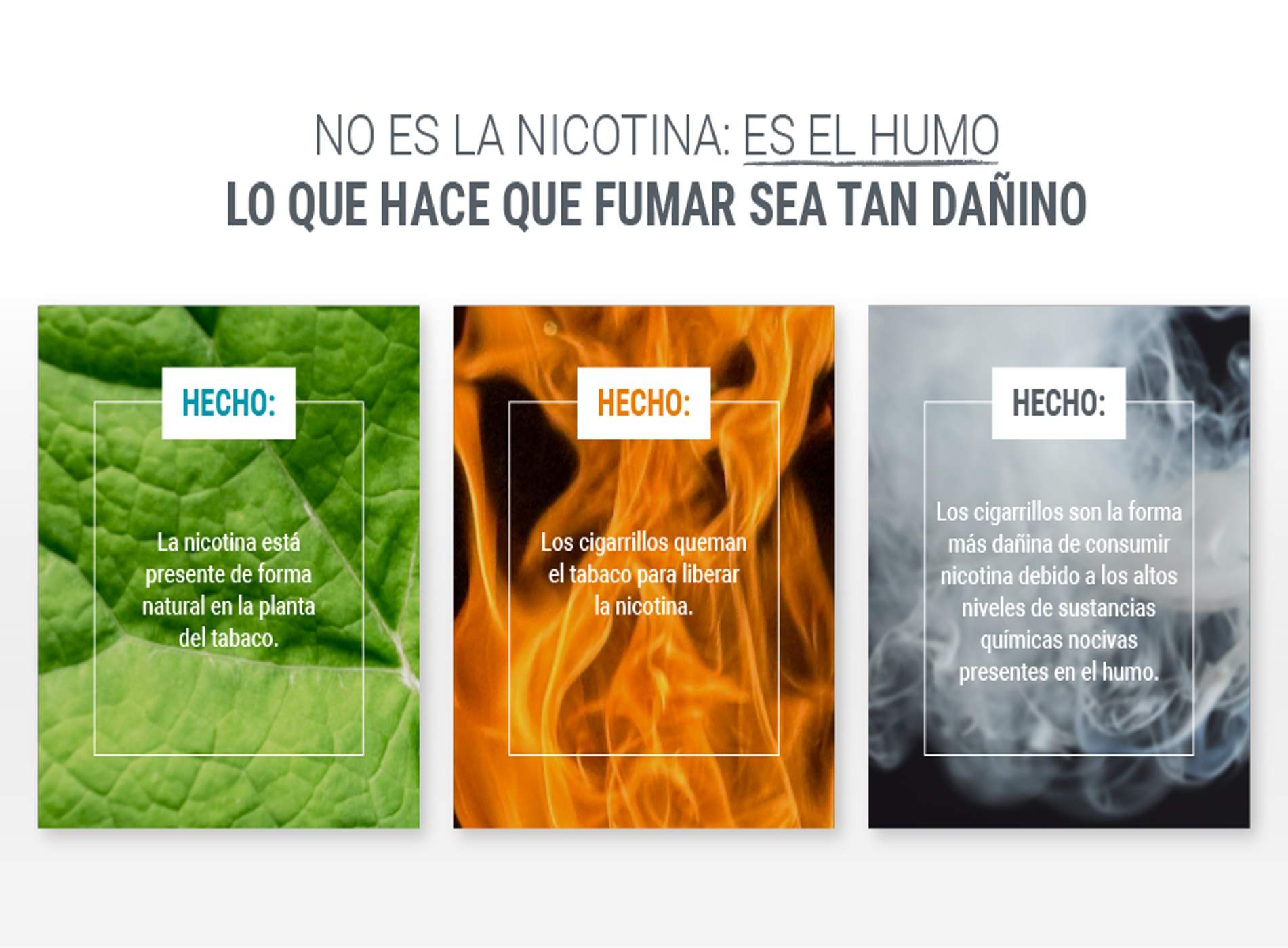 Qué es la nicotina infografía