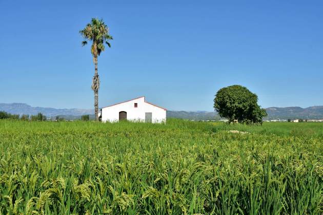 Las prácticas agrícolas se han transmitido de generación en generación / Foto: Unsplash